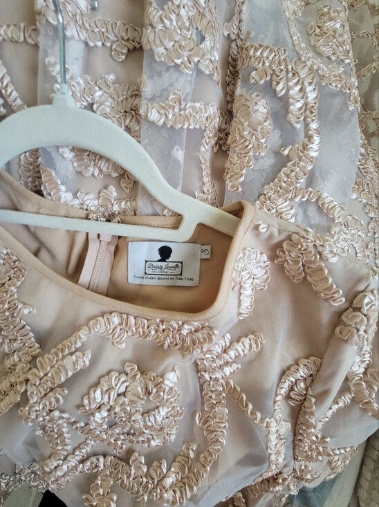 Dainty Jewells Dresses & Skirts - Embellished Lace Midi Dress in Champagne